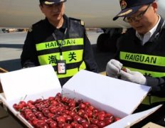 水果進口報關(guān)流程及相關(guān)注意事項