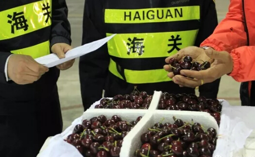 水果進口報關